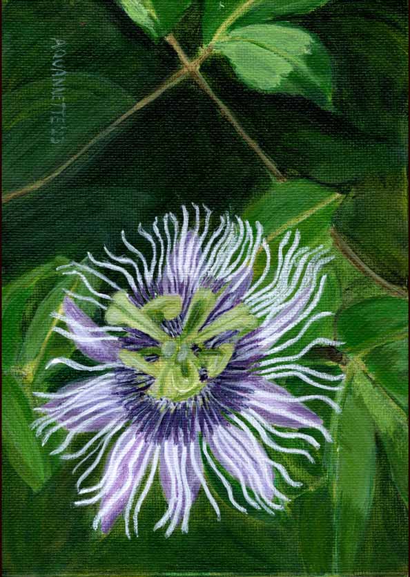 Passionfruit Flower Floral Tea Towel