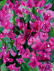 pink flower with green leaves art cards showing bougainvillea flowers painted on canvas and reproduced on glossy paper