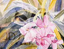 pink oleander flowers watercolor art notecards on glossy photo paper blank inside