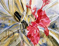 watercolor art notecards reproduction of painting of red oleander flowers